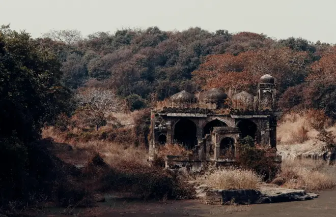 Ranthambore Safari Guide