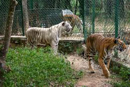 Kanha National Park