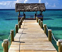 Golden Triangle and Goa Tour