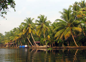 South India Heritage and Wildlife Tour 13 Days